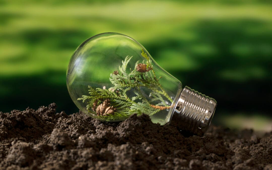 Film anti-chaleur et sobriété énergétique : une solution compatible