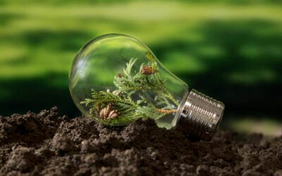 Film anti-chaleur et sobriété énergétique : une solution compatible